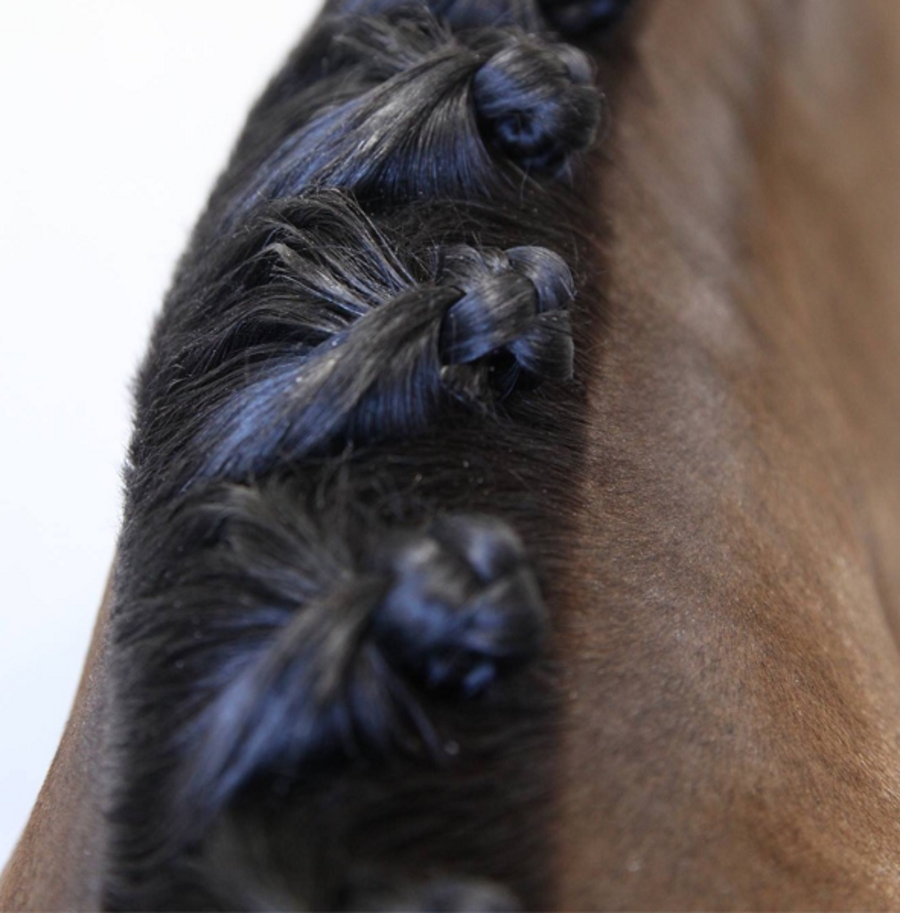 Hairy Pony Taming Wax image 2